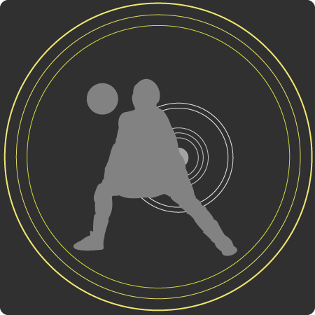 Sport acupunctuur Maassluis